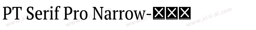 PT Serif Pro Narrow字体转换